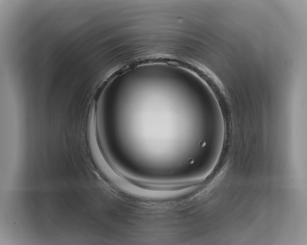 X0000111620785200907241029