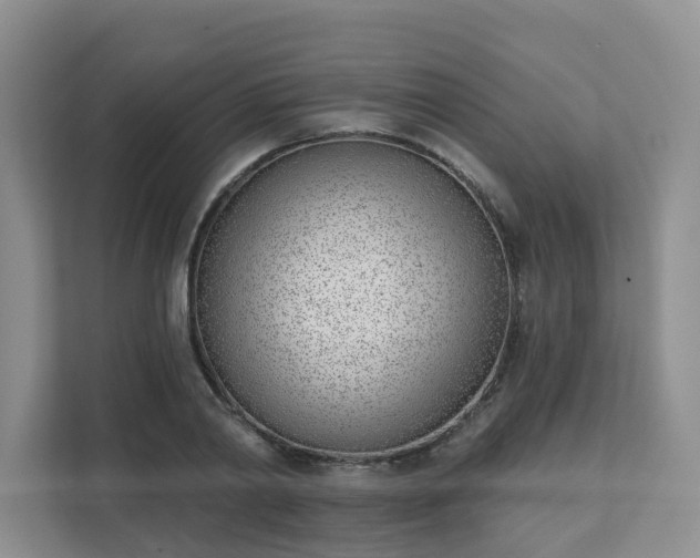 X0000111620790200907241029