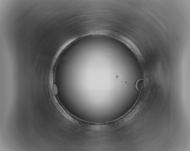 X0000111620804200907241029