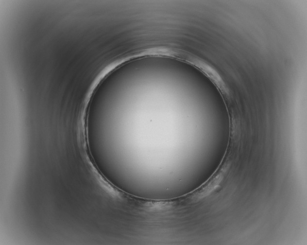 X0000111620808200907241029