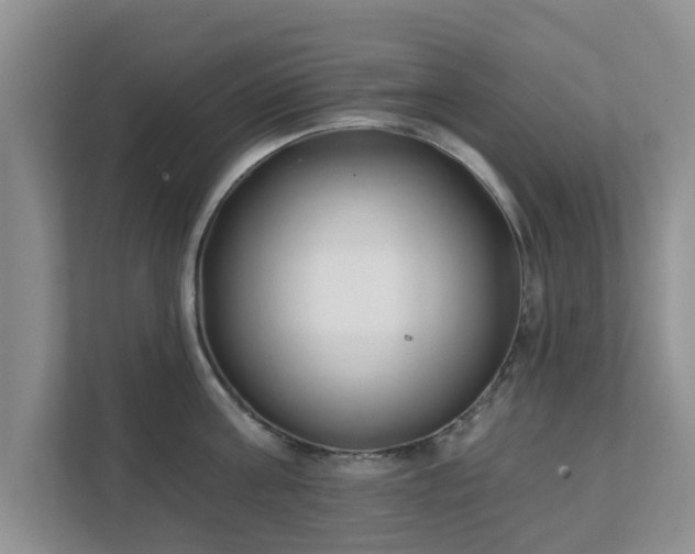 X0000111620811200907241029