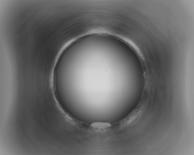X0000111620815200907241029