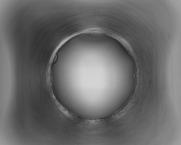 X0000111620816200907241029