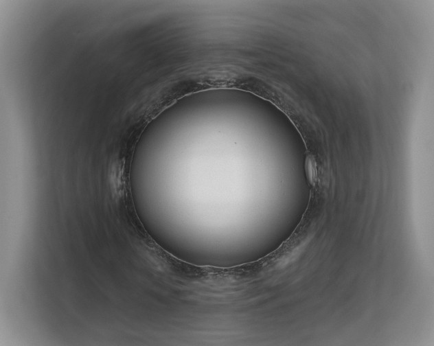 X0000111620818200907241028