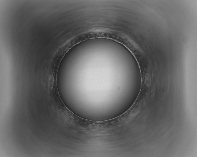 X0000111620821200907241028