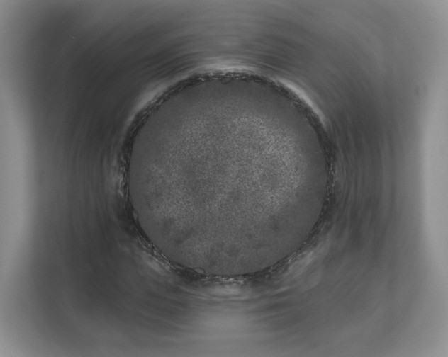 X0000111620823200907241028