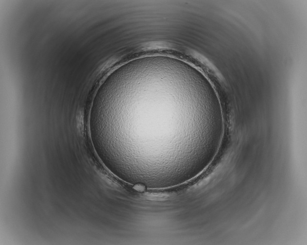 X0000111620825200907241028