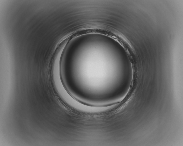 X0000111620826200907241028