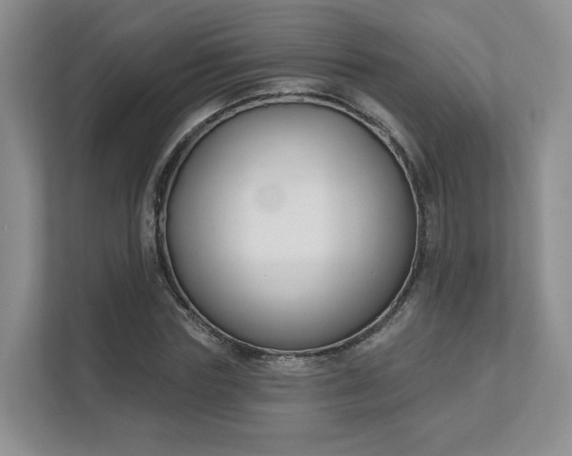 X0000111620827200907241028