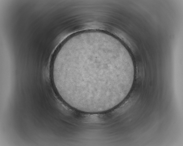 X0000111620828200907241028