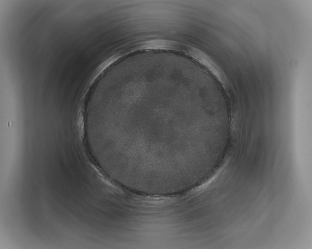 X0000111620829200907241028