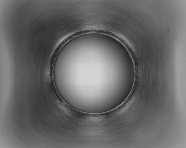 X0000111620830200907241028