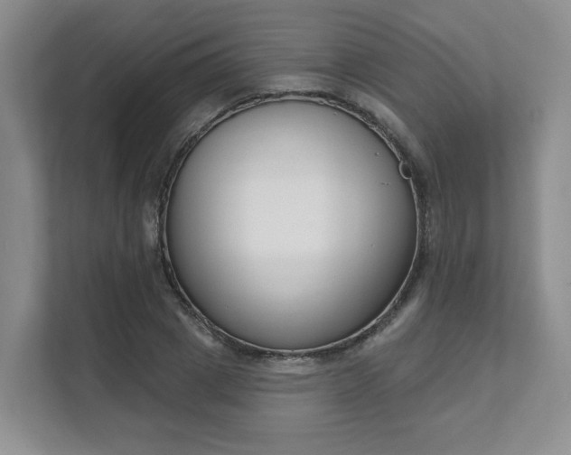 X0000111620833200907241028