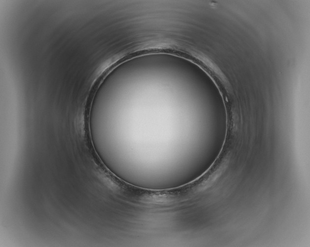 X0000111620834200907241028