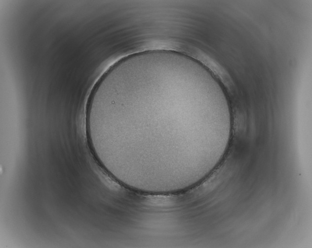 X0000111620836200907241028
