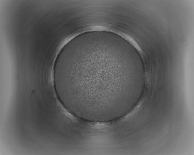 X0000111620839200907241028