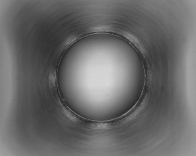 X0000111620841200907241028