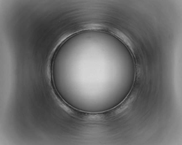 X0000111620843200907241028