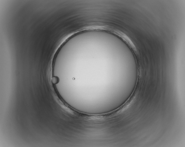 X0000111620844200907241028