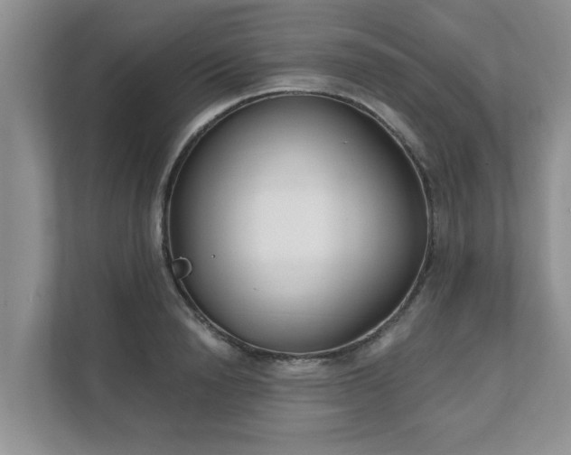 X0000111620846200907241028