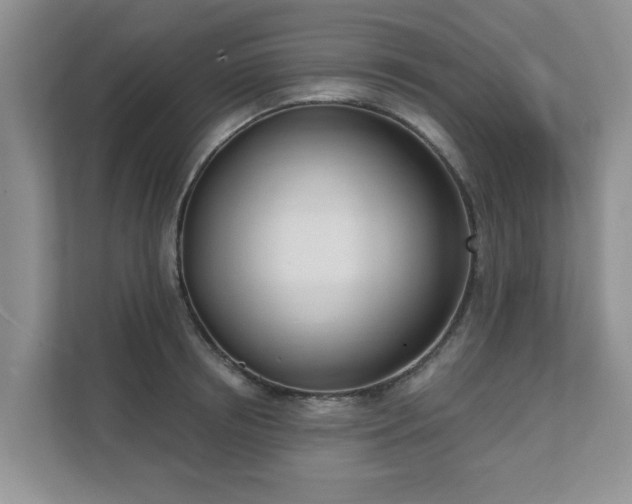 X0000111620850200907241028