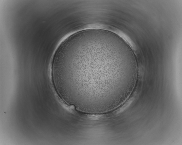 X0000111620854200907241028