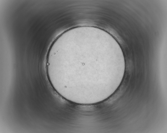 X0000111620856200907241028