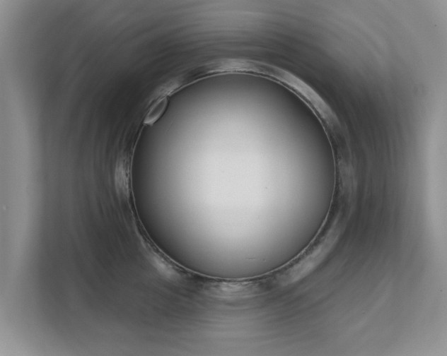 X0000111620857200907241028