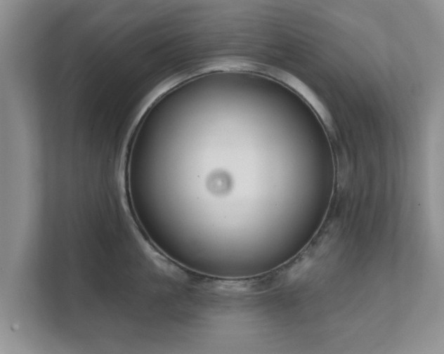 X0000111620861200907241029