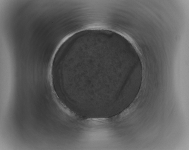 X0000111620864200907241029