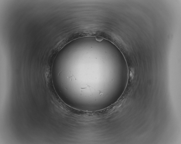 X0000111620867200907241028