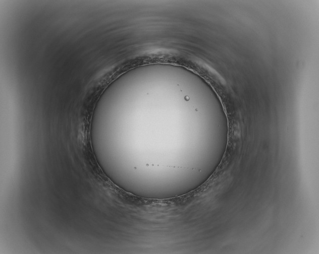 X0000111620869200907241028