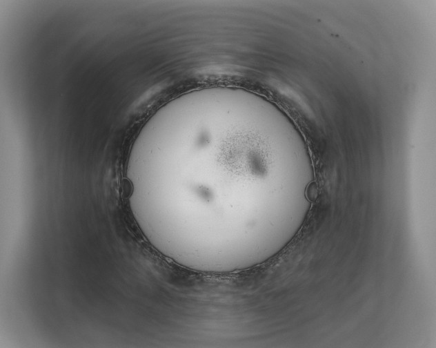 X0000111620870200907241028