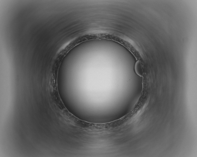 X0000111620871200907241028