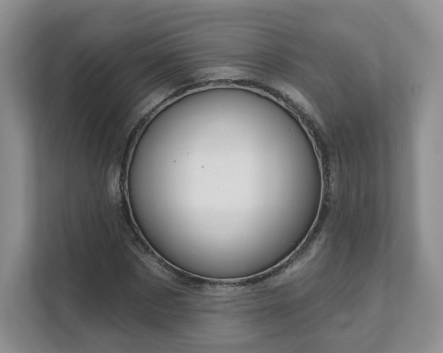 X0000111620873200907241028