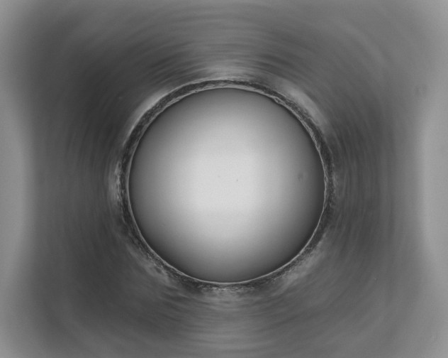 X0000111620875200907241028