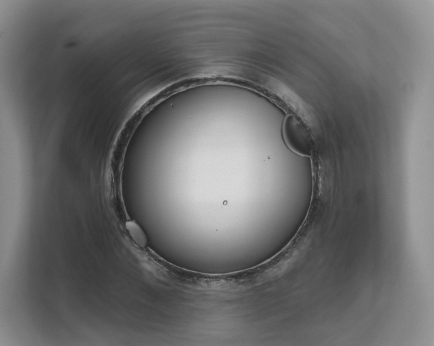 X0000111620876200907241028