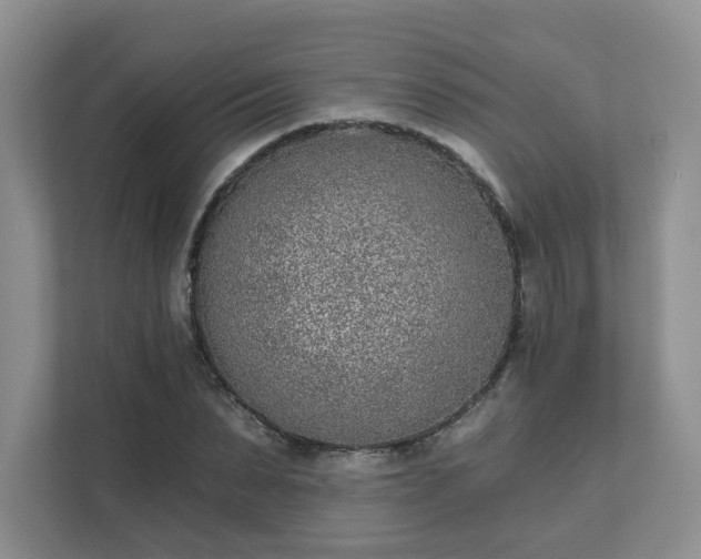 X0000111620879200907241028