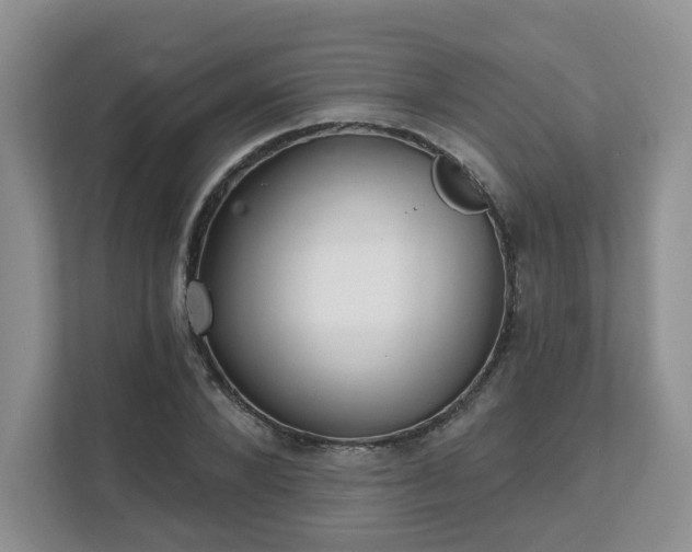 X0000111620880200907241028