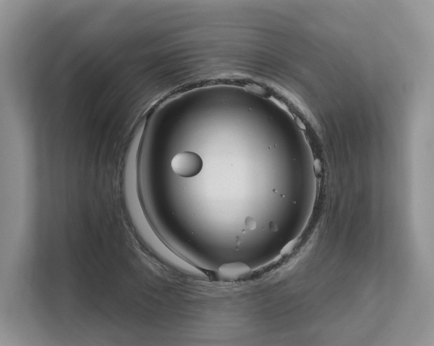 X0000111620881200907241028
