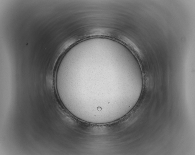 X0000111620882200907241028