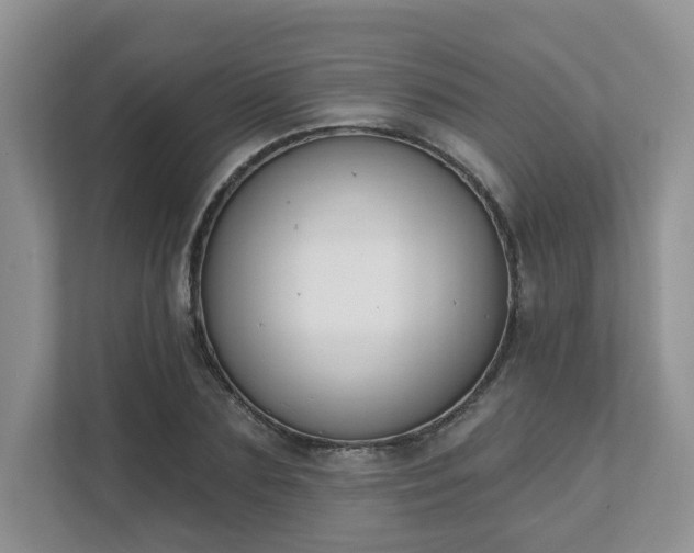 X0000111620883200907241028