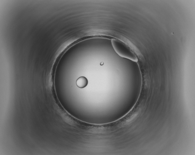 X0000111620885200907241028