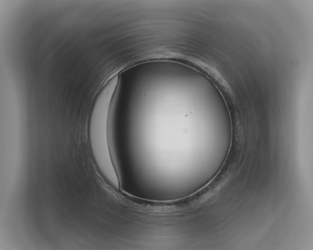 X0000111620889200907241028