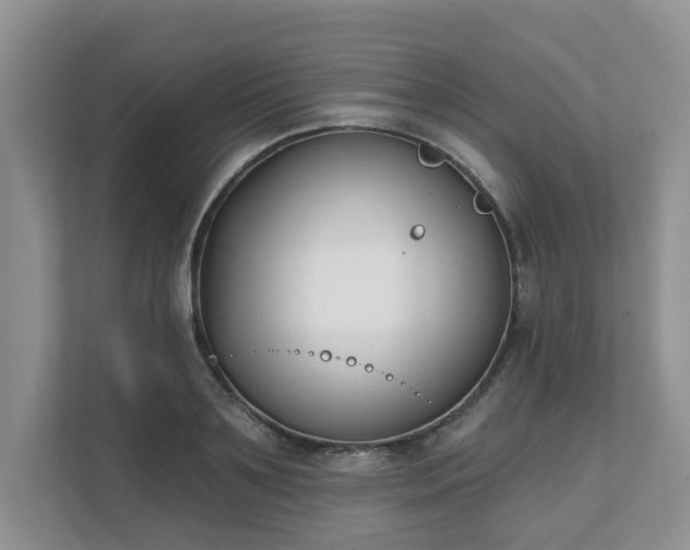 X0000111620891200907241028