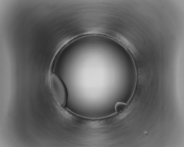 X0000111620892200907241028