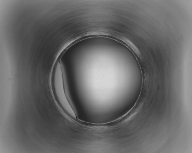 X0000111620893200907241028