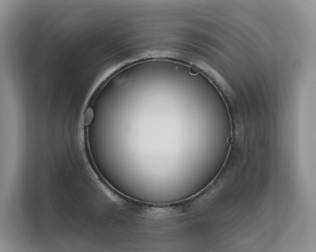 X0000111620894200907241028