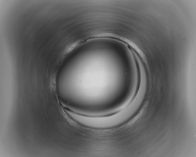 X0000111620897200907241028