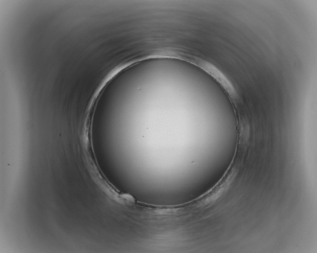 X0000111620908200907241027